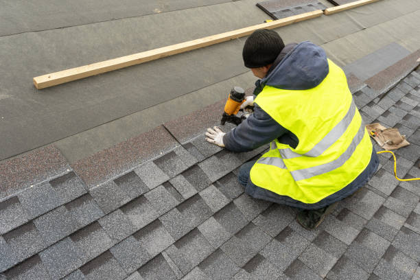 Best Roof Gutter Cleaning  in Baldwin, MI