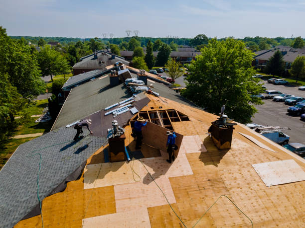 Residential Roof Replacement in Baldwin, MI