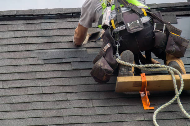 Best Roof Gutter Cleaning  in Baldwin, MI