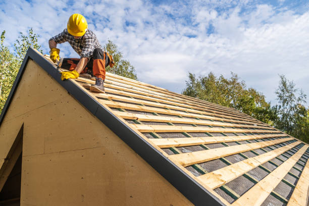 Roof Gutter Cleaning in Baldwin, MI